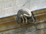 SX07862 Chamelion gargoyle Oxford building.jpg